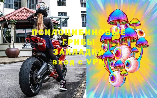 стаф Алексин