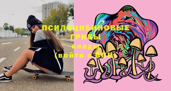 стаф Алексин