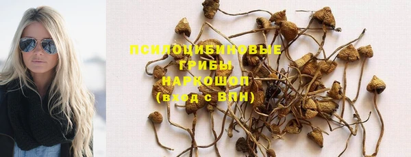 a pvp Абинск
