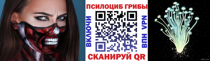 Галлюциногенные грибы Magic Shrooms  где продают   Черемхово 